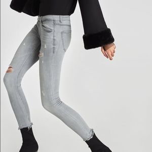 G R A Y • J E G G I N G S